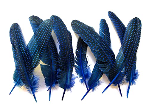 10 Pieces - Dyed Royal Blue Polka Dot Guinea Fowl Wing Quill Feathers Halloween Carnival Costume Craft Supply | Moonlight Feather #TOP3
