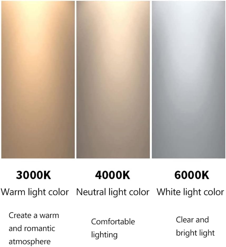 中国美術 清時代 清康熙 陳奕禧銘 祥雲龍文端渓硯 紫端渓 古物保証 唐