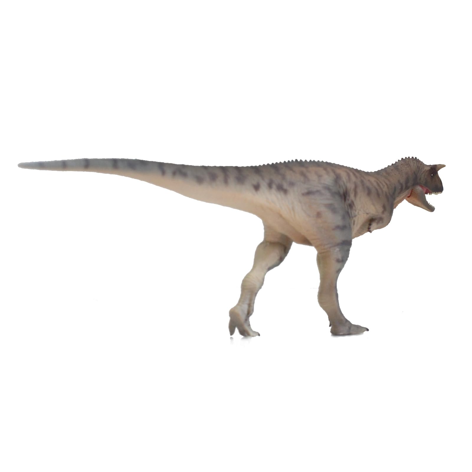 AMITD Carnotaurus (Zhoutong)