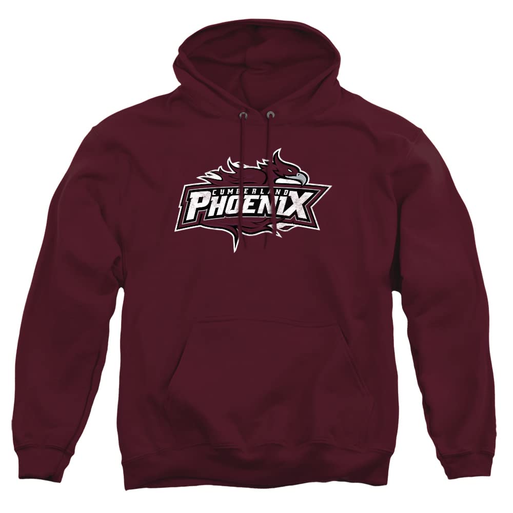 LOGOVISION Official Collegiate Distressed Primary Logo Adult Pullover Hoodie Collection — view 378