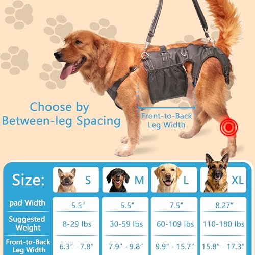 Dual-use Dog Lift Rehab Hareness Canine Sling for Small Pooch Rear Legs and Hip Support,Adjustable and Soft Brace Strap for After ACL Surgery, Helps Senior, Injured and Disabled K9 by SyFatWeen - Image 3