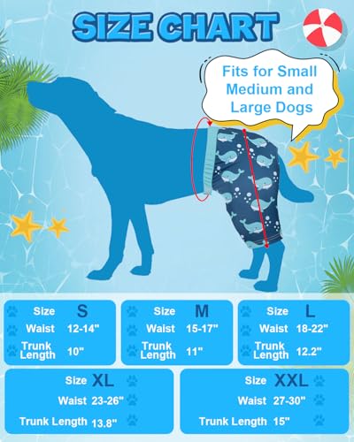 Image of CuteBone Dog Swim Trunks Swimsuit Durable & Comfortable - Quick-Dry, Adjustable Waistband Shorts, UV Protection Bikini- Perfect for Beach, Pool & Outdoor Fun, Dinos DST15L
