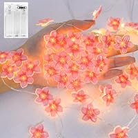 Dalugo Flower Fairy String Lights, 2M 20 LED Pink Cherry Blossom Lights with Timing Function, Spring Decoration Lights for Bedroom Garden Decorations
