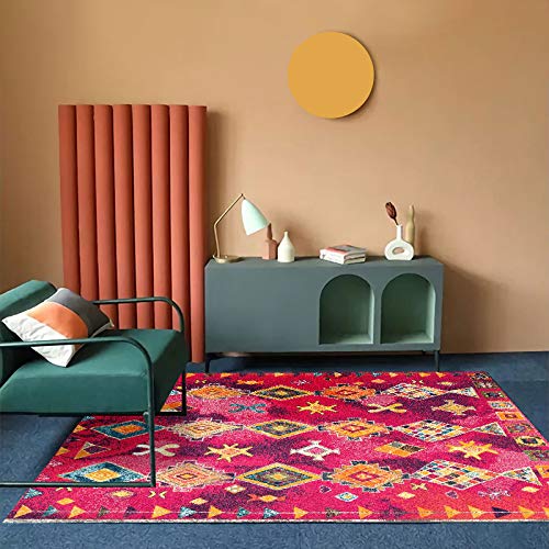 Tapis vintage ethnique NF le tapis traditionnel lavable anti-tache