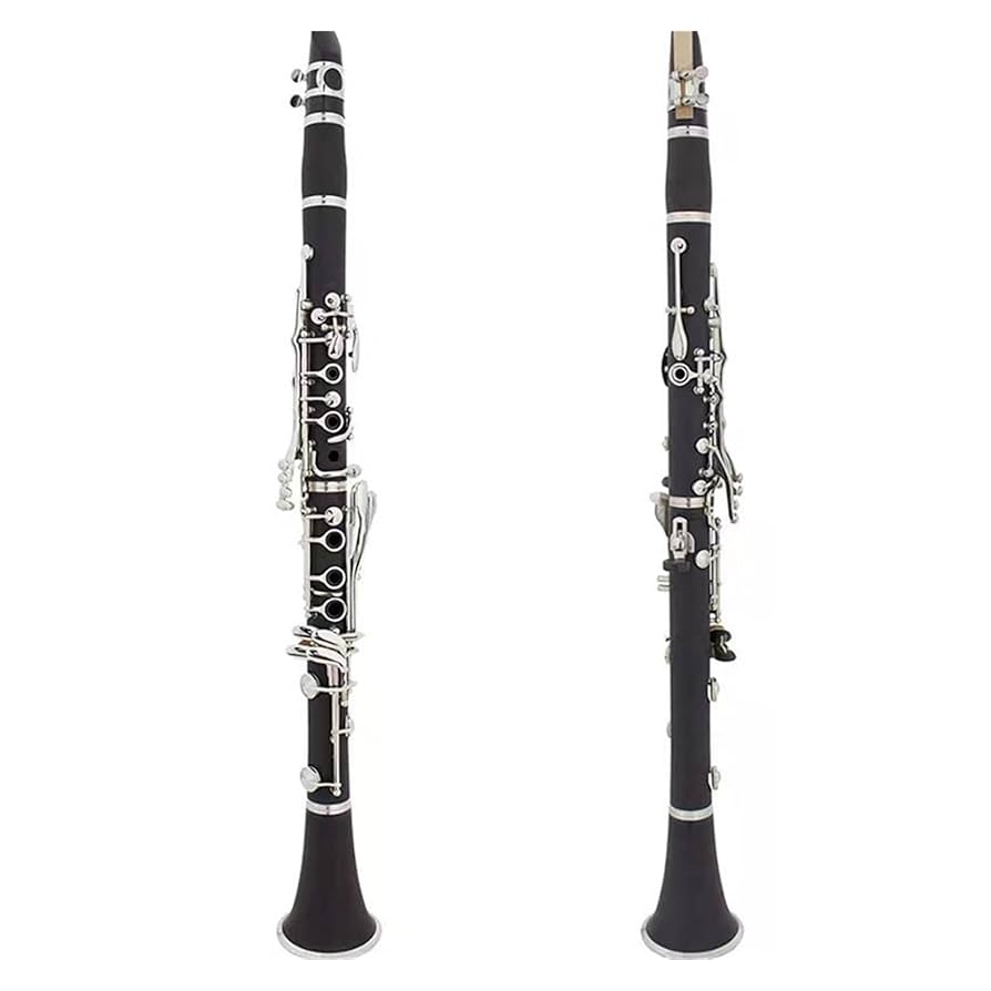 クラリネット本体 木製 黒 ケース付き fit=scale-down,w=1200