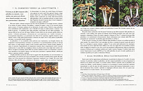 Funghi Fantastici: Come I Funghi Possono Curarci, Espandere La Nostra Coscienza E Salvare Il Pianeta - 3