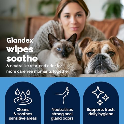 Vetnique Glandex Rear End Wipes for Dogs & Cats, Anal Gland Hygiene & Deodorizing Dog Wipes for Paws and Butt, Boot The Scoot with DeoPlex Enzyme, Aloe & Vitamin E (75ct)