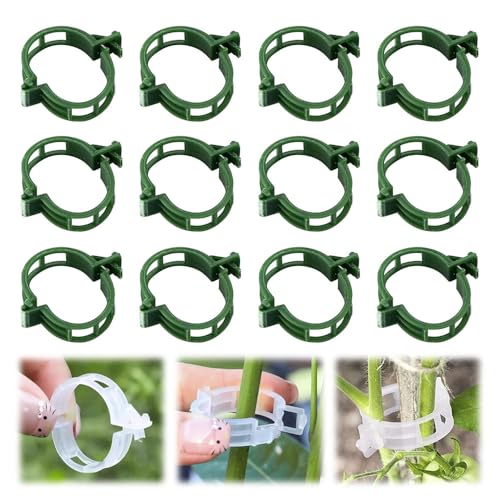 300 Pièce Clip en Plastique sécurisé pour Plantes, lips Support pour Attacher Les Plantes de jardin, pinces à tomates, petites pinces à plantes pour...