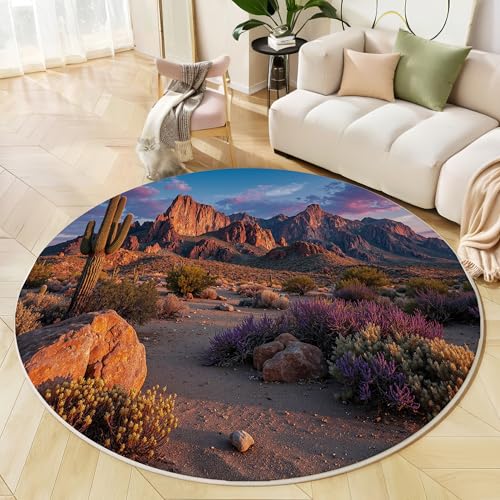 Tapis rond 200cm lavable en machine avec dossier antidérapant et poil bas doux