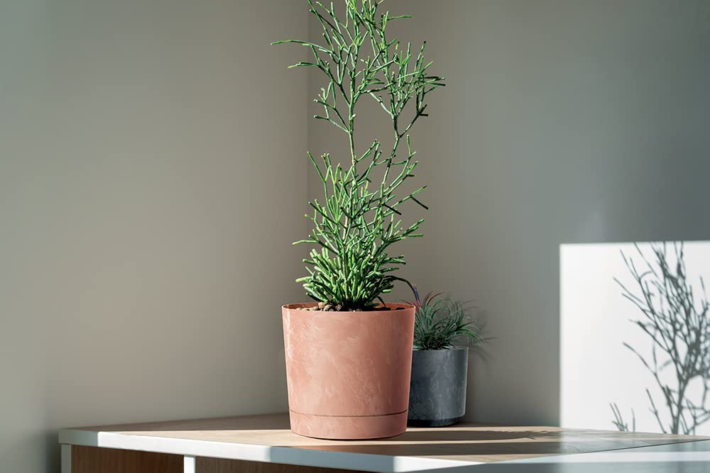 Tymar Pot de Fleur avec Soucoupe, Lot de 2 Pots de Plantes décoratifs en Plastique, Forme Ronde Moderne pour l'intérieur (ø 40 cm, (2pack) LI Vert)