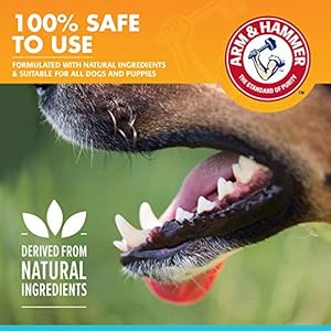 Arm  hammer for pets fresh breath dental spray for dogs | reduce plaque  tartar buildup without brushing 4 ounces mint flavor | dog teeth cleaning spray arm and hammer dog dental care   cucciolini doodles