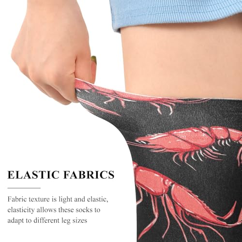 Red Shrimp Womens Knee High Socks Black Women's Sheers Novelty Long Tube Socks Stocking4