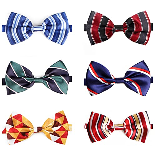 JUNENTER qplN^C 10 plN^C oNzf[ Lp O[~OplN^C ybgʐ^Be tFXeBo p[eB[ pMtg L[gŃ`FbN