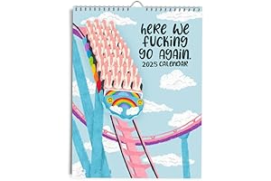 Here We Fucking Go Again 2025 Calendar, Fucking Calendar 2025 Planner