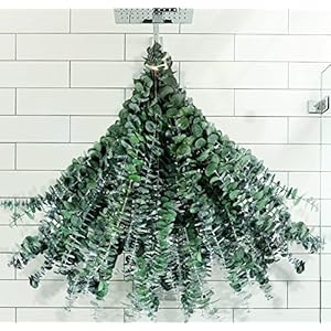 Large Package Dried Preserved Eucalyptus Stems Shower Bundle, 30 Pcs17“ 100% Natural Fresh Eucalyptus Plant, Real Eucalyptus Leaves Branches for Shower, Vase Filler, Flowers Arrangement Home Decor