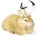 Jackalope Bunny Rabbit Lifelike Decoration Model Collectible Figurine