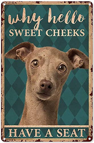 DEBAOABX Funny Animal Decor Italian Greyhound why Hello Sweet Cheek Art PosterMetal Plaque Tin Sign...
