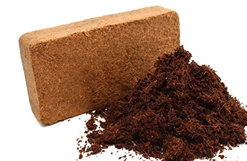 TrustBasket Cocopeat 5 kg Block | Expands Upto 75 litres of Powder| Hydroponic Plants, Kitchen Gardening and Terrace Gardening, Indoor Plants and Outdoor Plants