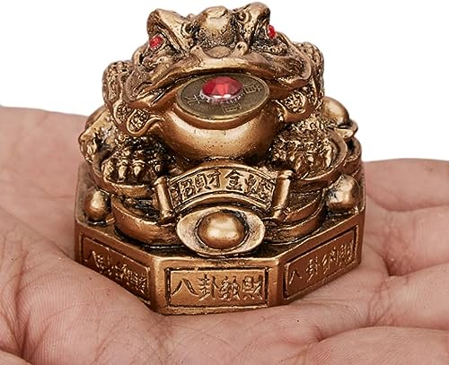 Maiitmor Or^ K^ Or JG  u O{r̊^  J^ ^ ɐ ObY  CeA N 蕨 (S[h)