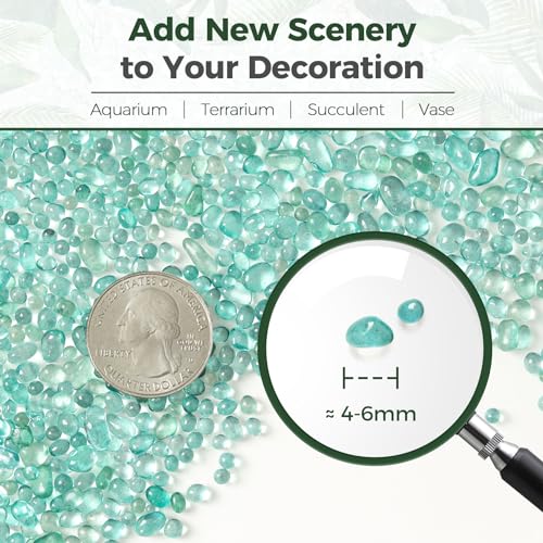 Image of T4U Fish Tank Gravel 2 LB, Tumbled Small Rocks for Aquarium, Glass Beads for Vases, Succulent Rocks for Plants, Aquarium Gravel Decorative Pebbles for Terrarium Crafts Vase Filler, Green