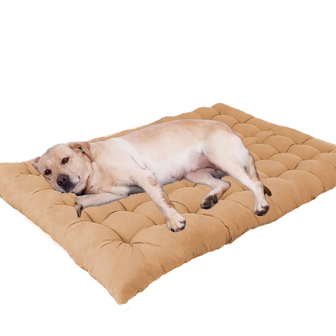 Lit en coton pour chien lavable grand format beige matelas anti-anxiété