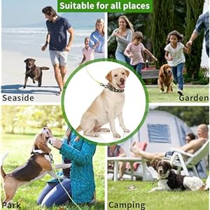 Dog Tie out Cable 102025305070100 Feet Suitable for Dogs Up to 350 Pounds Dog Cable with Swivel Buckle Lightweight Nonwinding for Outdoor Camping Yard Dog Cable  Cucciolini Doodles Dog tie out cable 102025305070100 feet suitable for dogs up to 350 pounds dog cable with swivel buckle lightweight non winding for outdoor camping yard dog cable   cucciolini doodles