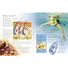 Complete Book of the Human Body: An Engaging Illustrated Guide About Anatomy and Biology for Kids (Ages 8-12) Paperback September 3, 2024