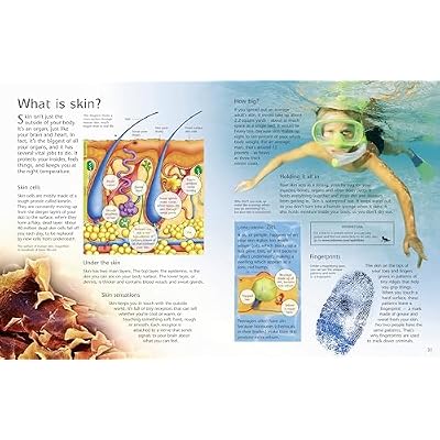 Complete Book of the Human Body: An Engaging Illustrated Guide About Anatomy and Biology for Kids (Ages 8-12) Paperback September 3, 2024