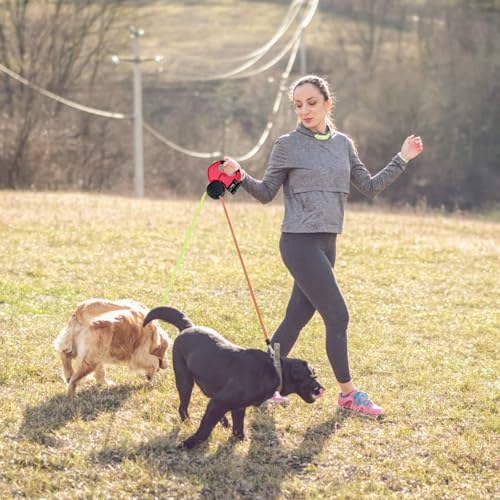 Laisse double rétractable pour chien robuste en nylon avec lampe torche - 7