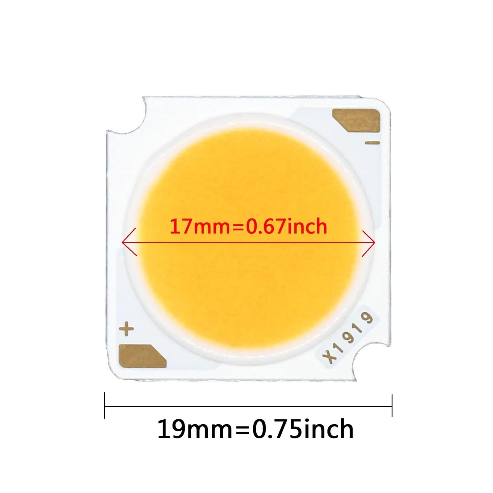 Generico Chip LED a diodi emettitori di luce COB da 15 pezzi 10W 20W 30W 40W 50W 19 * 19mm CRI≥90(6000K Pure White,40W 15pcs)