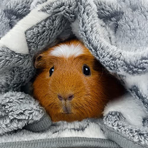 Tierecare Cobertor de porquinho-da-índia (pacote com 3) cobertores de lã ultra macios para animais d