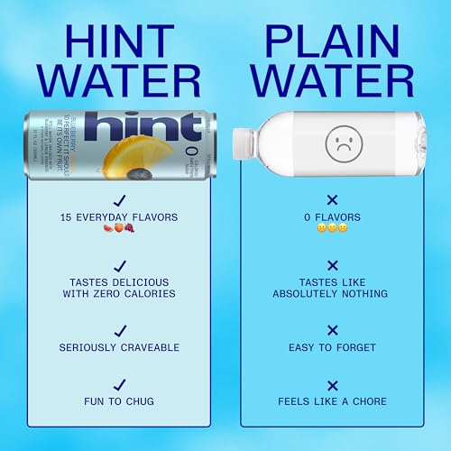 Image of Hint Canned Water Zero Sugar 0 Calories - Blueberry Lemon (12 pack)