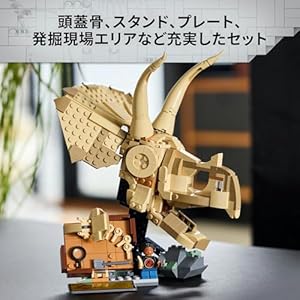 Amazon.co.jp - レゴ® ジュラシックワールド 恐竜の化石：トリケラトプスの頭蓋骨 76969