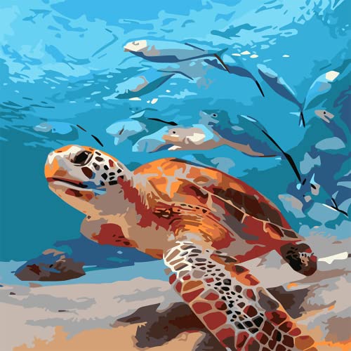 Eiazuiks Paint By Number For Adults. Sea Turtle Paint By Numbers For Adults Beginner Drawing Paintwork With 3 Paintbrushes Paint Canvas Oil Painting 16” X 16” #TOP22