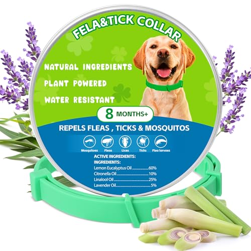 Trihood Natural m~&_jh~p ? GbZVIC([JAVglAx_[Ai[)܂2pbN̒߉\ȖhցAׂĂ̌ɈS