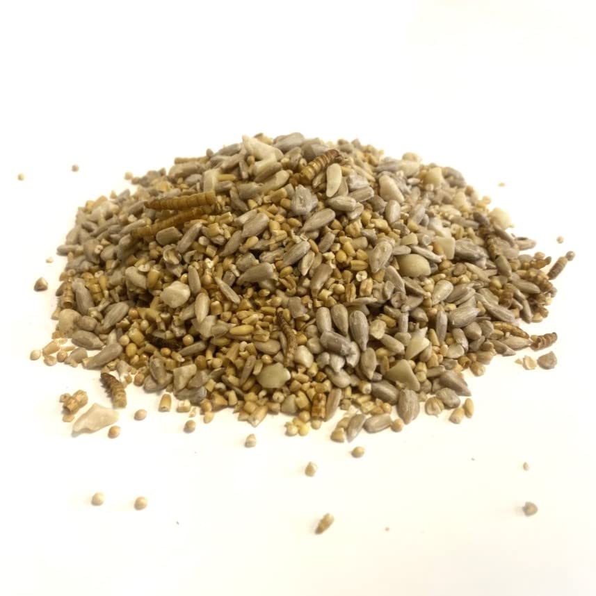 Premium Robin and Songbird with Mealworms 200g SLJ