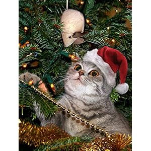 Jantabo Diamond Schilderij Kits Kerstmis, 5D DIY Kat Volwassenen Beginners Diamond Painting Set Volledige Boor Cross…