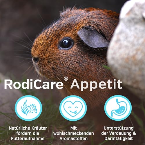 Alfavet RodiCare Appetit für schlecht fressende Nager, Ergänzungsfuttermittel für Kaninchen, Meerschweinchen und Kleinnager, 15 ml mit Dosierspritze