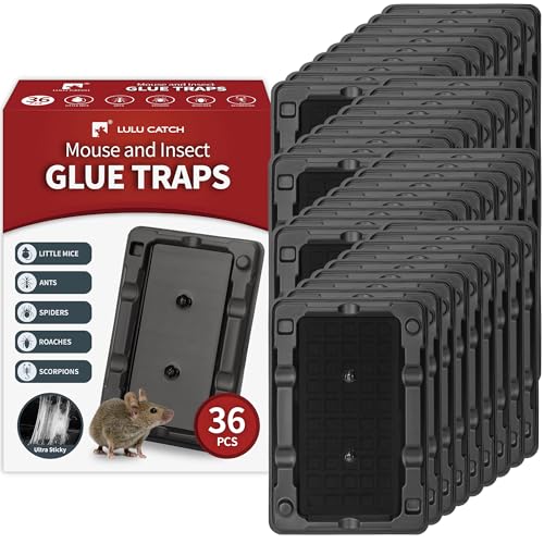 Image of LULUCATCH Mouse & Insect Traps 36 Pack, Heavier Sticky Traps with Non-Toxic Glue for Small Mice & Insects. Sticky Mouse Traps Indoor for Home, Easy to Set