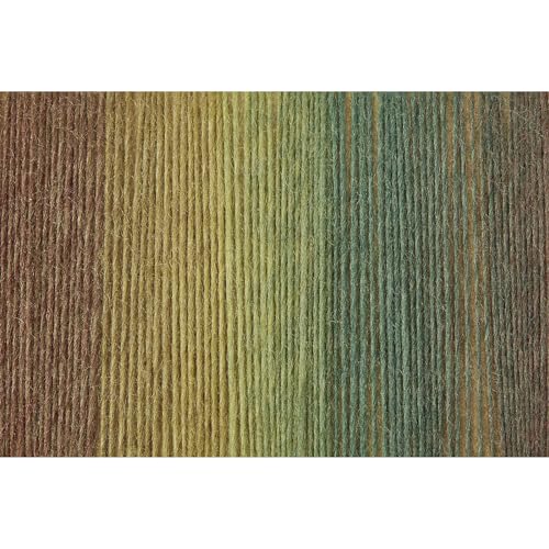Image of NICEEC 2 Skeins Rainbow Soft Yarn 100% Wool Gradient Multi Color Yarn for Crocheting Knit Total Length 180mx2(196ydsx2,50gx2)-15#