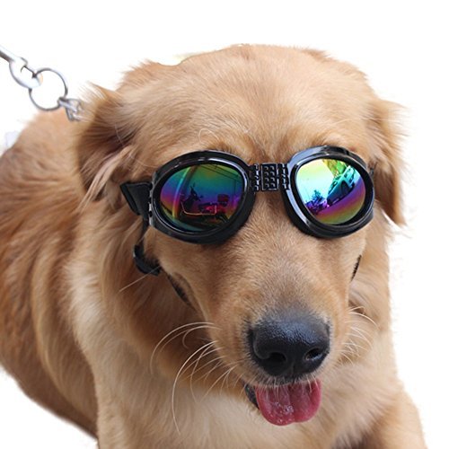 PSK Sunglass, Glamorous Eye Protection googgles Eye Wear Protection Waterproof Pet Sunglasses for Dogs with Fashion Flair for All Breeds (Blue) 1