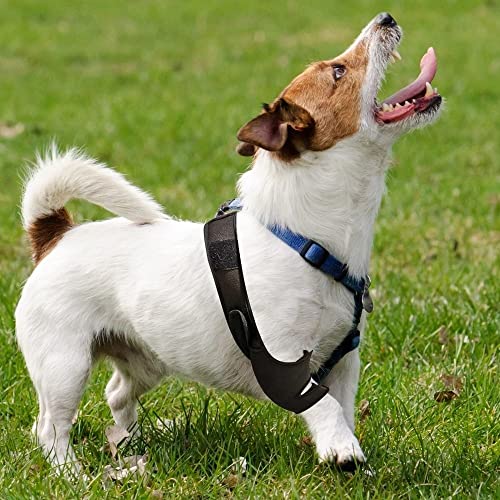 Image of gofidin Dog Leg Support Brace, Pet Knee Pads Dog Elbow Support Brace Protector Breathable Knee Brace Injury Recover Legs Wrap Reduces Pain and Inflammation