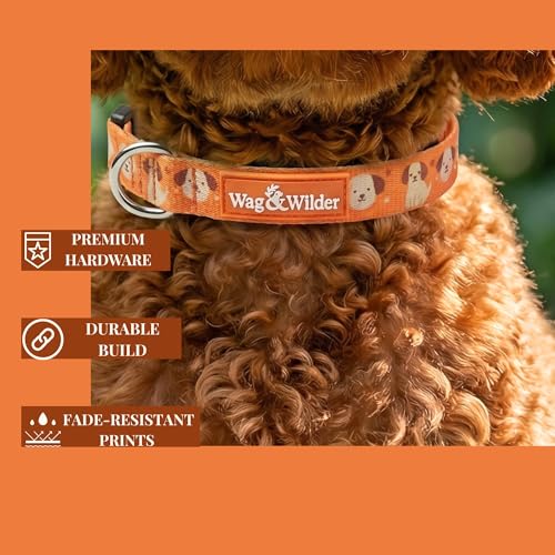 Image of Wag and Wilder Heavy Duty Adjustable Dog Collar for Medium Dogs - Quick Release Buckle & Metal D-Ring (Puppy Parade Orange)