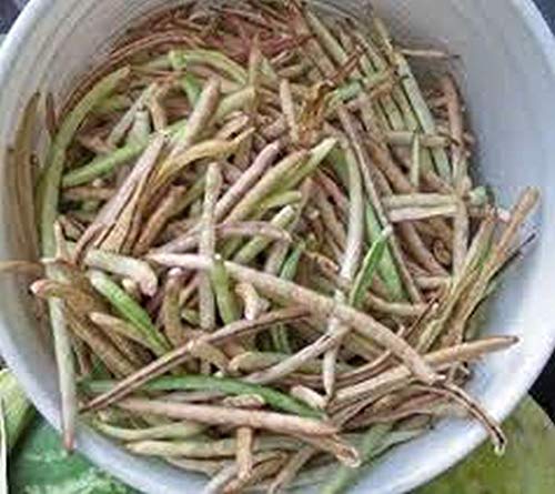 Sa-Dandy Southern Pea"White" - an Excellent Little White Pea (1000 - Seeds)