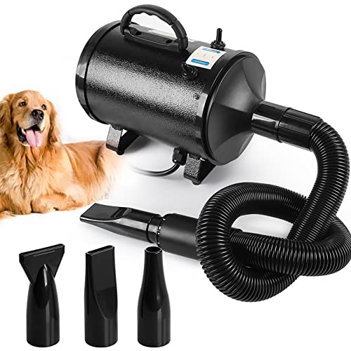 10 Best Dehumidifier Blow Dryer June 2023