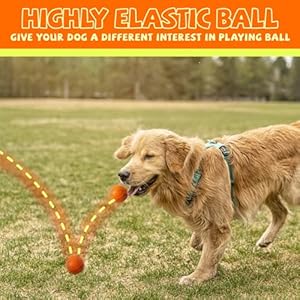 Susu  Wuwu Durable Dog Chew Balls for Aggressive Chewers  Interactive Toy for Dental Health Benefits  Indestructible Dog Tennis Balls 4 Balls 25inch4pack  Cucciolini Doodles Susu  wuwu durable dog chew balls for aggressive chewers  interactive toy for dental health benefits  indestructible dog tennis balls 4 balls 2 5inch 4pack   cucciolini doodles