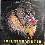  Full time winter VINILE