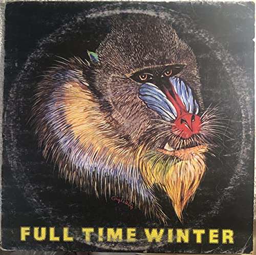  Full time winter VINILE