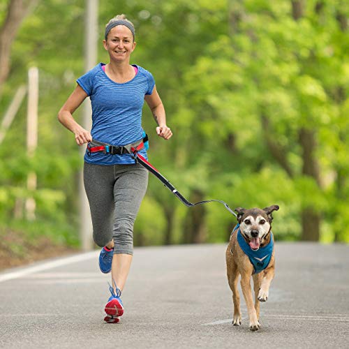 Kurgo Laufgürtel für freihändige Ausflüge mit Ihrem Hund, Mit Wasserflasche und Tasche, Einstellbare Größe, Rot/Grau, 1 Stück (1er Pack)