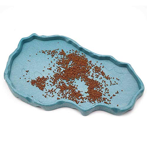 Reptile Food and Water Bowl Dish Reptile Food Dish Large Tortoise Water Bowl for Turtle Lizard Snake Gecko Ball Python… - Image 4